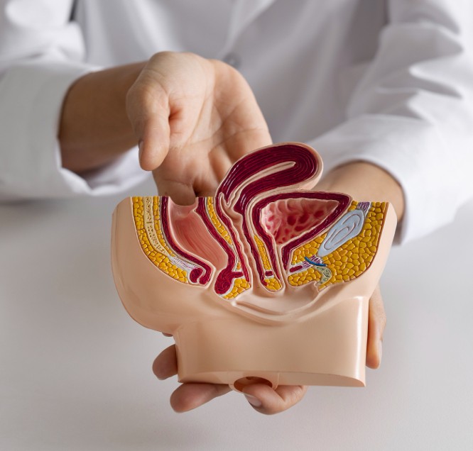 coloproctologia latacunga